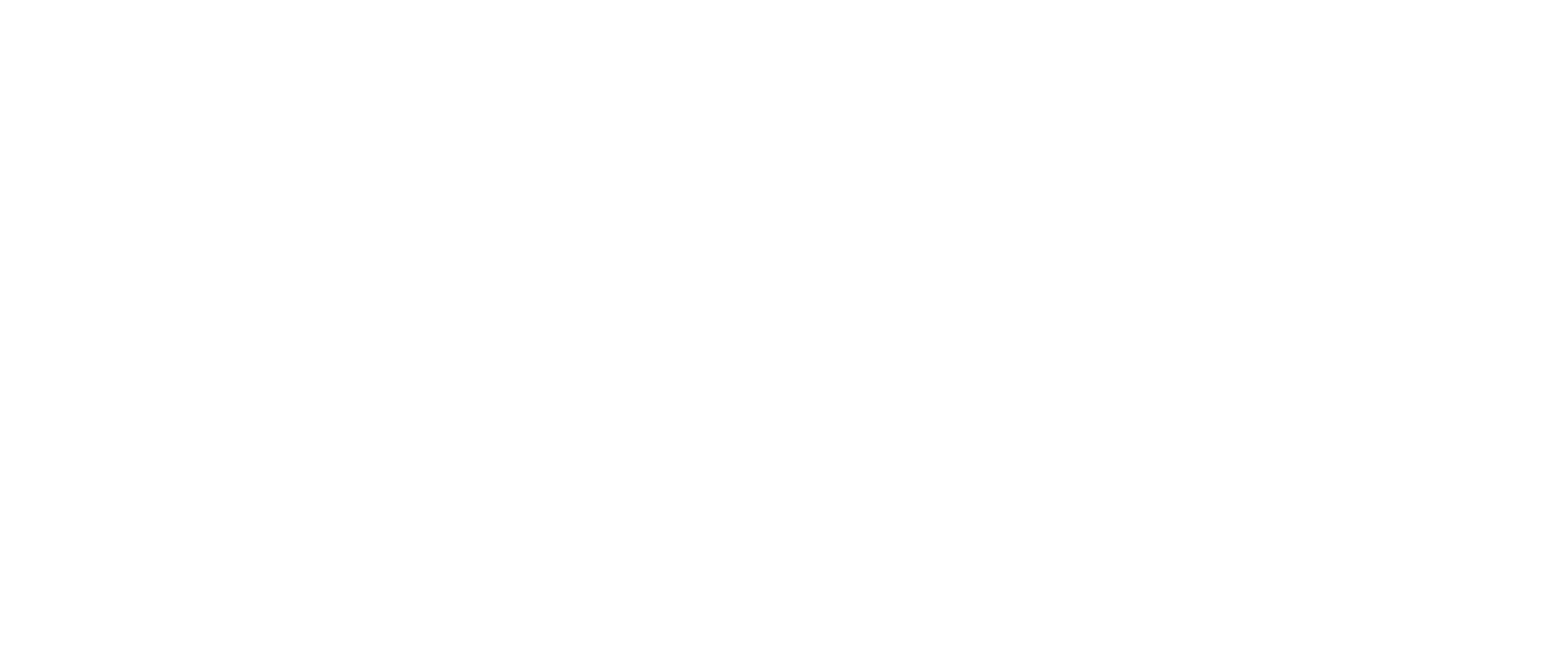 ZAE Bonn Logo white