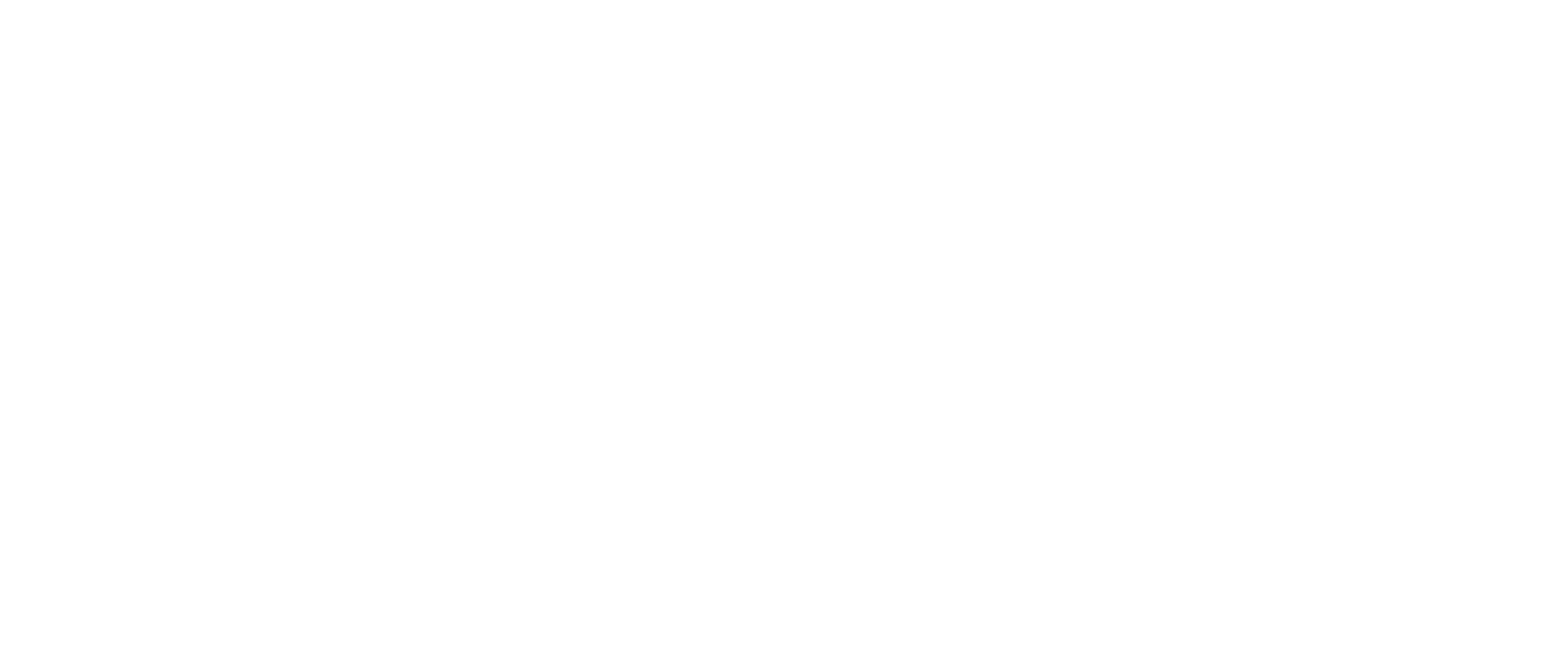 ZAE Bonn Logo in weiß